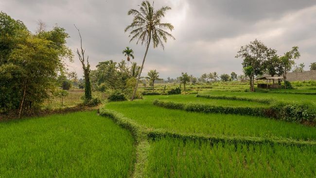 Tiga desa wisata di Indonesia jadi nominasi Desa Wisata Terbaik versi UNWTO, salah satunya Desa Tetebatu di Nusa Tenggara Barat.