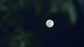 Duet Jupiter-Bulan Bakal 'Tenggelamkan' Hujan Meteor Malam Ini