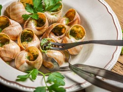 Apakah Halal Makan Bekicot? Begini Penjelasan Fatwa MUI
