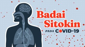INFOGRAFIS: Badai Sitokin yang Dialami Pasien Covid-19