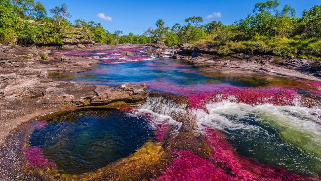 Setiap musim hujan, sungai di taman nasional Kolombia berubah warna menjadi pelangi. Namun tidak banyak wisatawan yang bisa melihatnya.