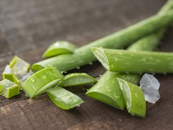 Khasiat Lidah Buaya untuk Pengidap Diabetes, Bisa Cegah Gula Darah Tinggi