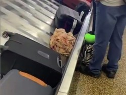 Trik Mendapatkan Bagasi Lebih Dulu di Tempat Klaim Koper