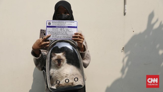 FOTO: Vaksinasi Rabies Hewan Peliharaan di Jakarta