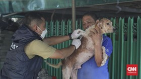 Kemenkes Pastikan Stok Anti-Rabies untuk NTT Aman Tersedia