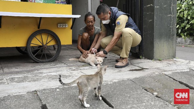 Pemerintah Kabupaten Timor Tengah Selatan (TTS), NTT, mengisolasi Desa Fenun, di Kecamatan Amanatun Selatan yang menjadi lokasi awal munculnya kasus rabies.
