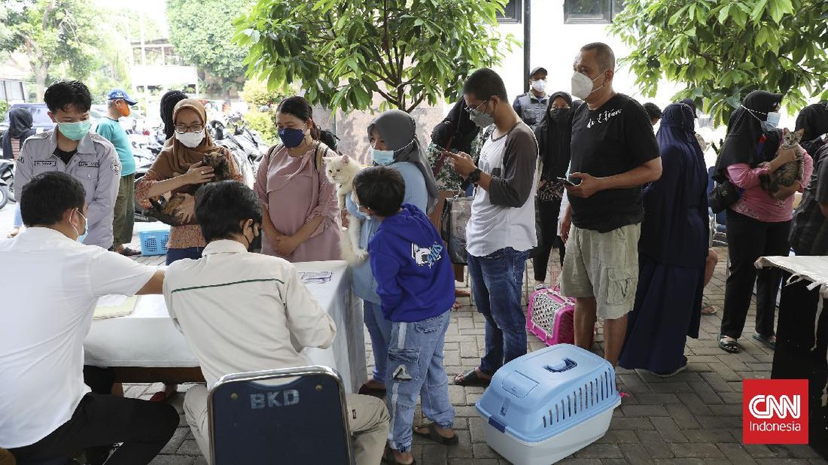 FOTO: Vaksinasi Rabies Hewan Peliharaan di Jakarta