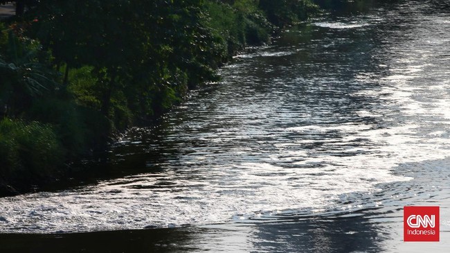 Dinas Lingkungan Hidup (DLH) Pemkab Bogor sudah mengecek ke lokasi sungai yang tercemar, di mana limbah dibuang ternyata tak diolah dulu.