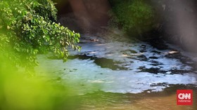 DLH Tangkap Truk Tinja Buang Limbah di Hutan Kota Cawang