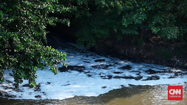 Dinas Lingkungan Hidup DKI Jakarta telah menyelesaikan penyelidikan kasus kematian ribuan ikan di Sungai Kali Baru, Jakarta Timur.