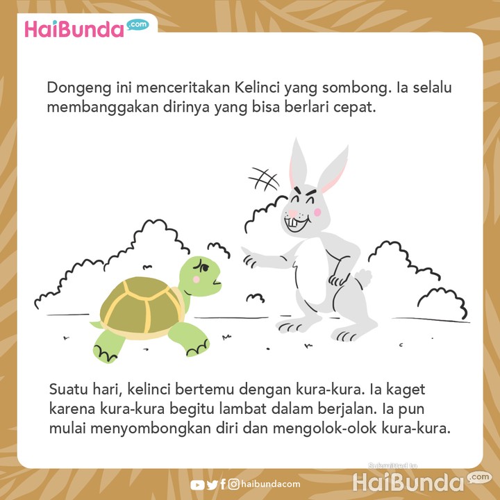 cerita nusantara kelinci dan kura-kura