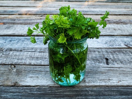 13 Jenis Tanaman untuk Menurunkan Berat Badan, Bisa Luluhkan Lemak Bun!