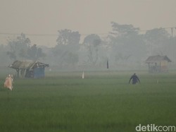 Jurus RI Jadi Kiblat Pertanian Dunia