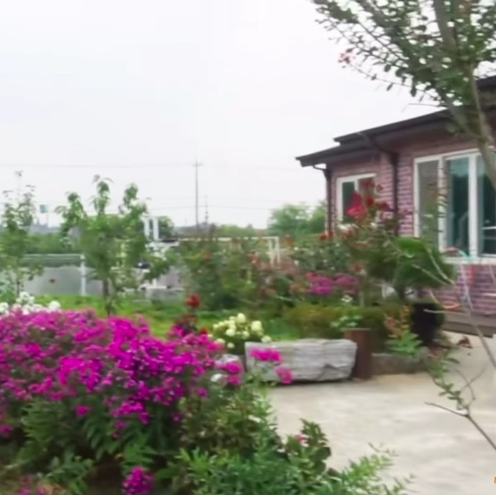 <p>Ketika pagi datang, siapapun yang melihat halaman mertua Yannie Kim akan terkesima karena terdapat taman bunga yang luas. Warna bunga pun beragam mulai dari ungu, merah, hingga putih. (Foto: YouTube Yannie Kim)</p>