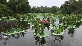 FOTO: Trik Lahan Terapung Buat Pulihkan Danau India