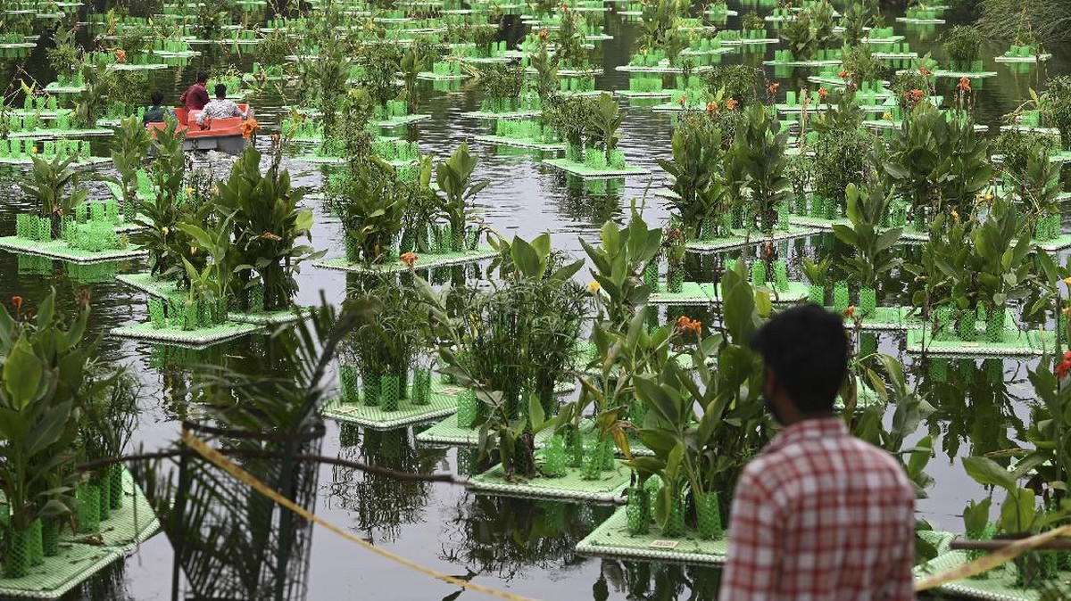 FOTO: Trik Lahan Terapung Buat Pulihkan Danau India