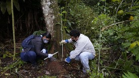 FOTO: Ikhtiar Warga Galapagos Petakan Keanekaragaman Hayati