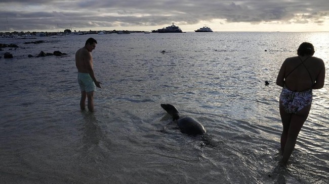FOTO: Ikhtiar Warga Galapagos Petakan Keanekaragaman Hayati