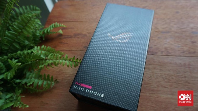 Ulasan uji produk Asus ROG Phone 5 yang tidak cuma mumpuni untuk gaming tapi juga oke buat memotret.