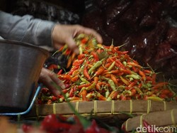 Harga Cabai di Kota Probolinggo Anjlok, Konsumen Senang-Petani Meradang