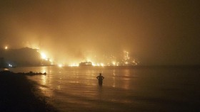 FOTO: Perubahan Iklim Picu Kebakaran Hutan di Seluruh Dunia