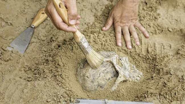 Peneliti menemukan fosil manusia purba di Gua Liang Panning, Maros, Sulsel, yang disebut bisa mengungkap jejak kelompok masyarakat tak dikenal.