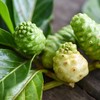 7 Manfaat Buah Mengkudu yang Nggak Banyak Diketahui
