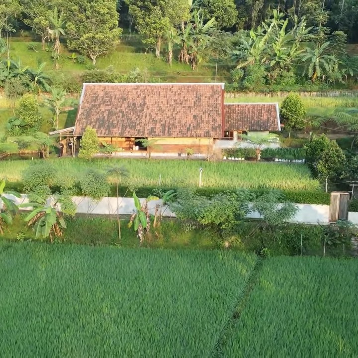 <p>Di tengah area sawah Kampung Tajur, berdiri sebuah rumah sederhana milik Haji Usman Bimantara. Ia merupakan pengusaha sukses dari Cikarang, Bunda. (Foto: YouTube Petualangan Alam Desaku)</p>