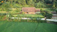 <p>Di tengah area sawah Kampung Tajur, berdiri sebuah rumah sederhana milik Haji Usman Bimantara. Ia merupakan pengusaha sukses dari Cikarang, Bunda. (Foto: YouTube Petualangan Alam Desaku)</p>