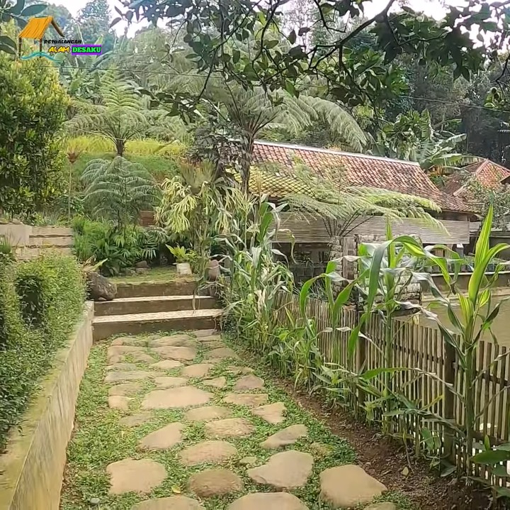 <p>Rumah Haji Usman Bimantara berdiri di area persawahan. Tak ada aspal seperti di kota, Bunda. Rumahnya sangat asri dengan rumput hijau dan bebatuan alam yang dipakai sebagai jalan setapak. (Foto: YouTube Petualangan Alam Desaku)</p>