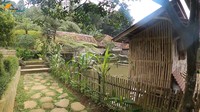 <p>Rumah Haji Usman Bimantara berdiri di area persawahan. Tak ada aspal seperti di kota, Bunda. Rumahnya sangat asri dengan rumput hijau dan bebatuan alam yang dipakai sebagai jalan setapak. (Foto: YouTube Petualangan Alam Desaku)</p>