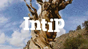 INTIP: 7 Pohon Paling Terkenal di Dunia