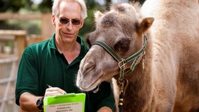FOTO: Sensus Satwa London Zoo yang Menggemaskan