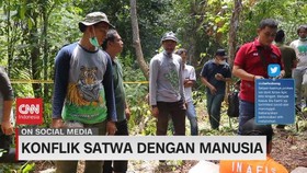 VIDEO: Konflik Satwa Dengan Manusia