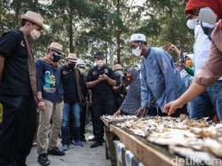 Tinjau Revitalisasi Danau Maninjau, Sandiaga Optimis Omset UMKM Meningkat