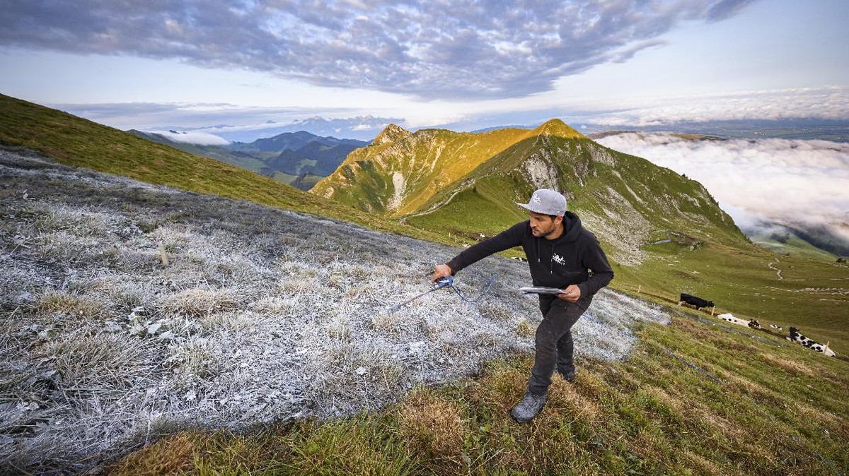 FOTO: Grafiti Raksasa di Puncak Pegunungan Alpen