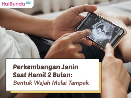 Perkembangan Janin Saat Hamil 2 Bulan: Bentuk Wajah Mulai Tampak