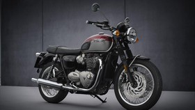 7 Motor Baru Triumph Mengaspal di RI, Mulai Rp300 Jutaan