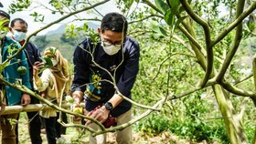 Menparekraf Dukung Perbaikan Infrastruktur Desa Wisata Sarugo