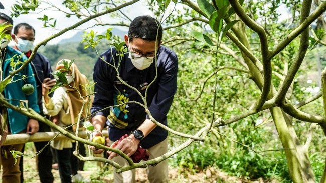Sandiaga Uno yakin, Desa Sarugo dapat berkembang menjadi desa wisata unggulan melalui sejumlah perbaikan infrastruktur seperti jaringan telepon dan internet.