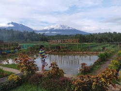 Banyuwangi Buka Wisata Pekan Depan, Rancang Aplikasi Mirip Peduli Lindungi
