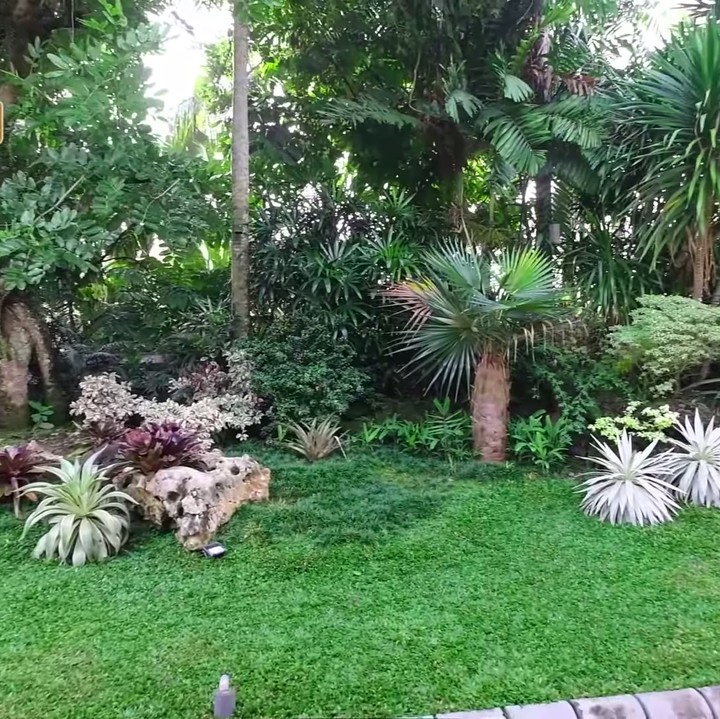 <p>Meski memiliki lahan yang luas, Ade dan keluarga tak melupakan penghijauan di area rumah, lho. Ia memiliki taman yang berisi tanaman hias dan pohon-pohon besar. (Foto: YouTube deHakims Story)</p>