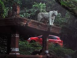 Taman Safari Tebar Diskon 50% di Momen ASEAN Tourism Forum