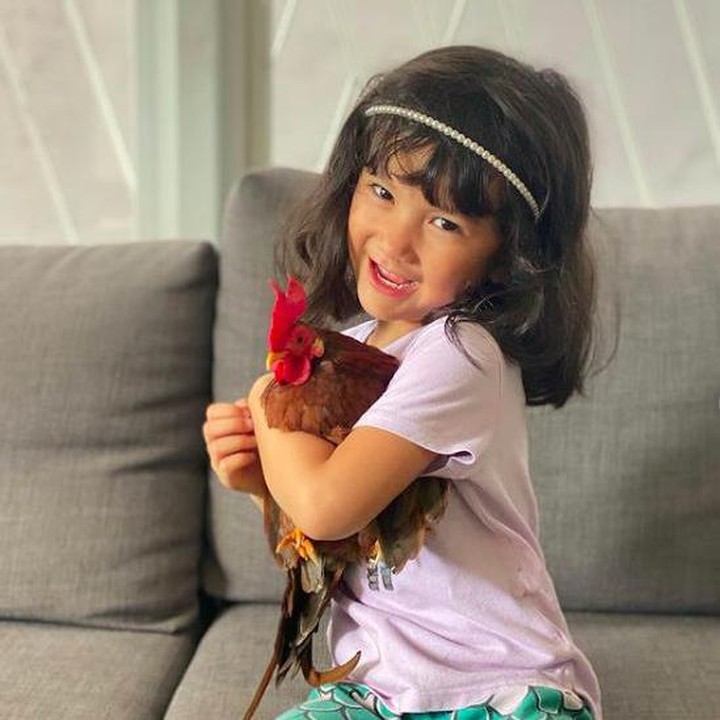 <p>Salma juga memiliki ayam sebagai hewan peliharaan yang bebas berkeliaran di rumahnya. Kata sang bunda, meski Salma menyukai hal-hal berbau princess, pink, tapi tetap cinta pada binatang jenis apapun, lho. (Foto: Instagram @atiqahhasiholan)</p>