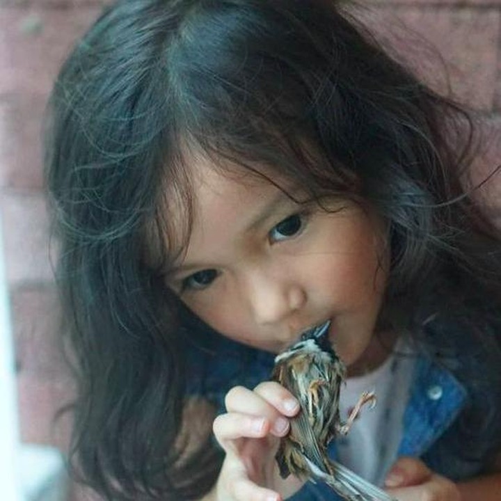 <p>Hal ini terbukti dari beberapa unggahan Atiqah Hasiholan tentang kecintaan Salma pada binatang. Misalnya ada burung liar yang sakit, ia buru-buru menyelamatkan dan merawat burung tersebut. (Foto: Instagram @atiqahhasiholan)</p>