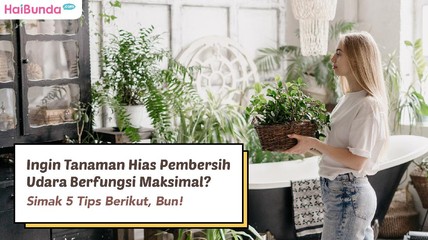 Detik Network