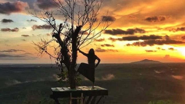Desa Wisata Tamatto memiliki hutan karet yang kini telah dikembangkan menjadi objek wisata alam.