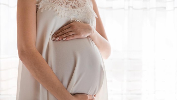 Pretty young pregnant woman standing by the window in home.