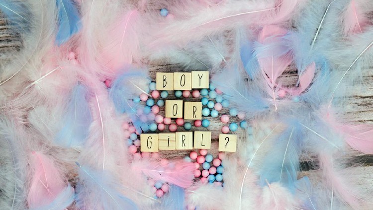 Boy or Girl text surrounded with pastel colored feathers, Gender reveal gathering party concept. Baby announcement. Flat lay,text space. background texture greeting card
