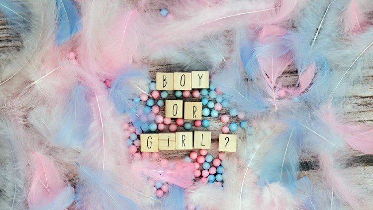 Baby shower atau Gender Reveal Party Boy or Girl text surrounded with pastel colored feathers, Gender reveal gathering party concept. Baby announcement. Flat lay,text space. background texture greeting card